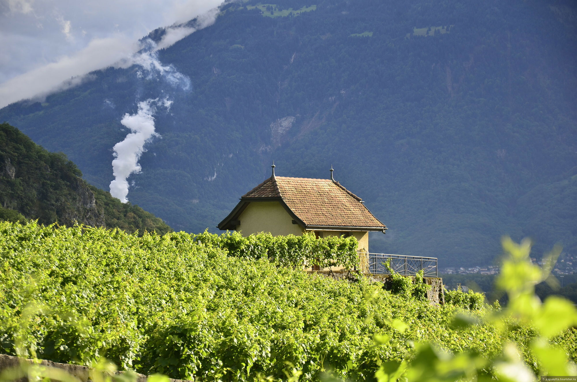 Aigle